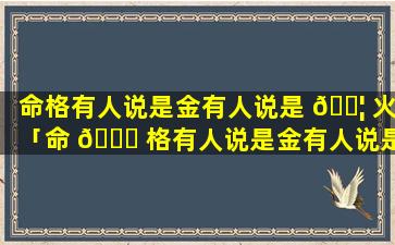 命格有人说是金有人说是 🐦 火「命 🐛 格有人说是金有人说是火什么意思」